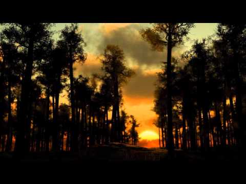 Aaskereia - Der Schwarze Wald