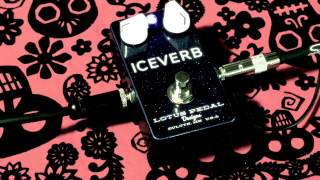 Lotus Pedals Iceverb reverb guitar pedal demo with Kingbee Stratocaster