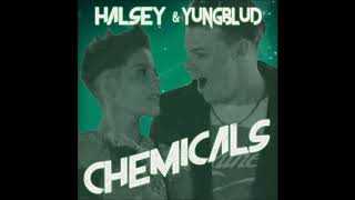 HALSEY NEW SONG (FEAT.  YUNGBLUD)  - CHEMICALS (demo)