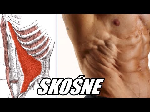 Ćwiczenia na górnej części pleców kulturystyce Triceps kulturystycznych filmy treningowe