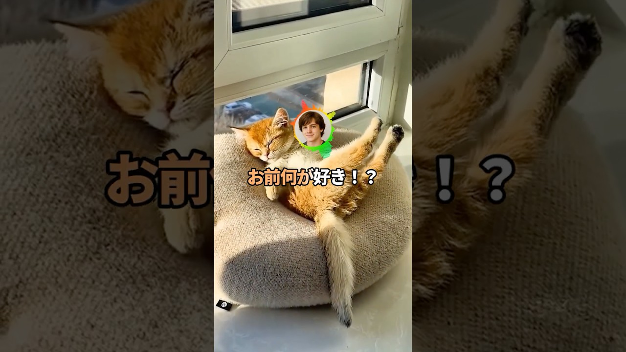 トッモ「頼む金貸してくれ！」ワイ「少しづつで良いから返せよ」【2ch】#shorts #2chおもしろスレ