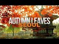 The Best Autumn Leaves In Seoul 2024 Korea Travel Tips