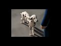 Playlist Look At The Dog Thomas The Tank Engine Overdubbed George CarlinVersion