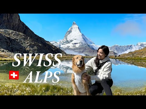 🇨🇭 Trip to the Swiss Alps | Mont Blanc, Courmayeur to Grindelwald |  Zermatt • Jungfrau • Lucerne