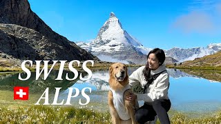 Travel vlog - ๐จ๐ญ Trip to the Swiss Alps | Mont Blanc, Courmayeur to Grindelwald | Zermatt โข Jungfrau โข Lucerne