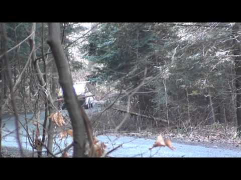 II Memoriał Kuliga i Bublewicza dla Amatorów - Galant Firszt Polonez 2000 by OesRecords