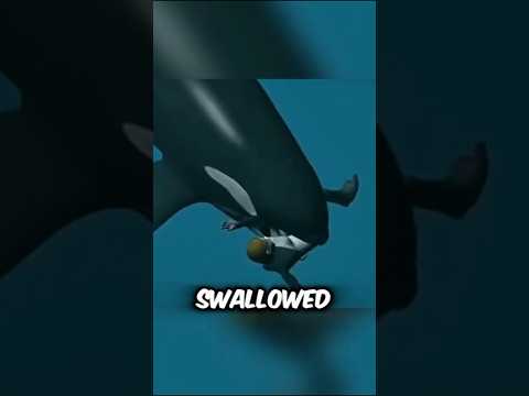This trainer got eaten by an orca. #shorts