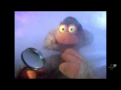 COCORICÓ: Mistério na teia.