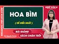 Hoa bìm - Ngữ văn lớp 6 - Chân trời sáng tạo