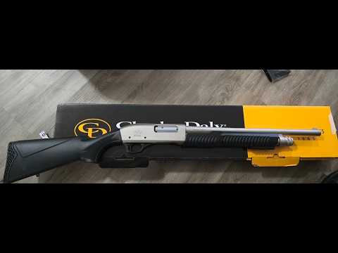 CHARLES DALY 601 Semi-Automatic Shotgun FIRST SHOT Review