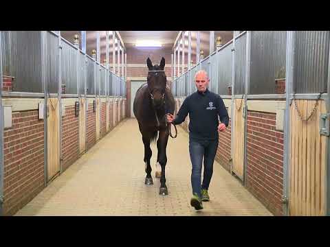 Verbandshengte 2022 - Charaktervoll