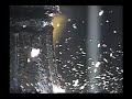 Adrian Belew, "Sunlight" -   Accidental Fan Video  by micro retina