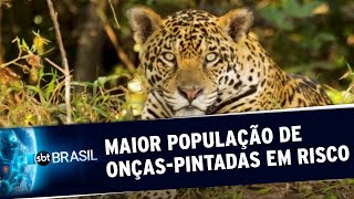 Miniatura do vídeo