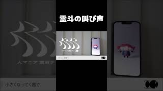 『人マニア』に霊斗の叫び声入れてもバレない説#人マニア #shorts