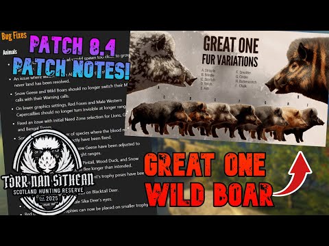 GREAT ONE WILD BOAR FURS REVEALED!!! Going Over Everything In Patch 8.4! - The Hunter COTW