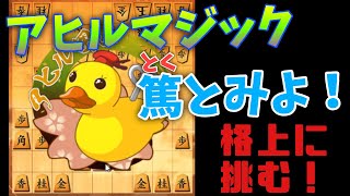 【将棋ウォーズ実況】アヒル囲いvs左高美濃 168 10秒