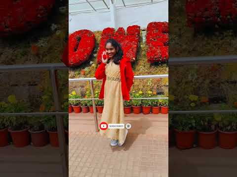 Jisoo_Flower #dance #youtubeshorts #tending #rowdyrubeena #shortsfeed