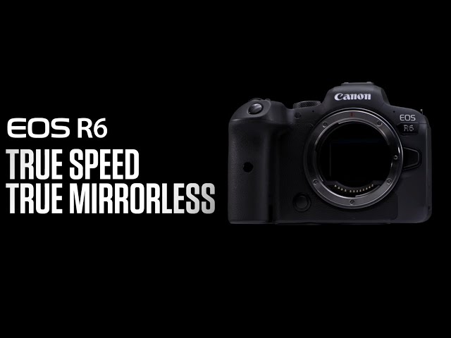 Video Teaser für EOS R6: Pure Geschwindigkeit. Ganz ohne Spiegel.