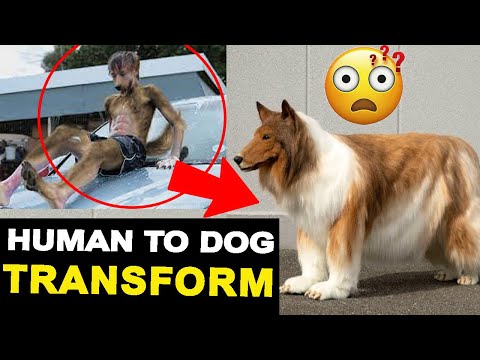 Japanese man toko dog transformation | human to dog convert spends  12 lakh $  on costume