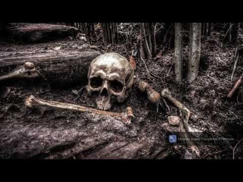 Home Of Horrors by ALPHATRAZ