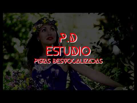 Gilda -Te necesito Karaoke