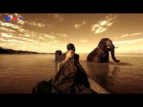 Acid Pauli   Jamie and Selda Selda Bağcan