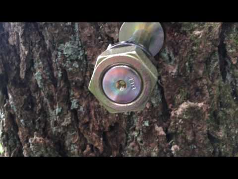 Installing Garnier Limbs - Part Two