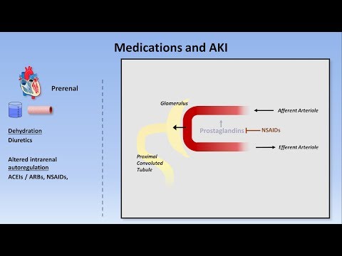 Acute Kidney Injury (Part 1/3 - Definitions and Etiologies)