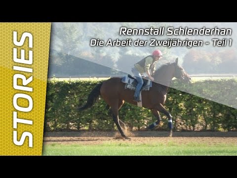 Jean-Pierre Carvalho - Arbeit der 2jährigen - Teil 1