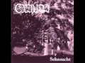 Exaudi - Etwas Schweigt 