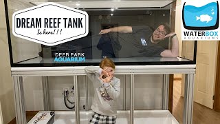 My Dream Reef Tank is Here! Custom Waterbox