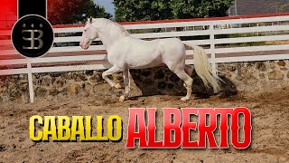 Chuy Lizárraga - El Vlog - Rancho El Aguacaliente -Caballo HQ Alberto