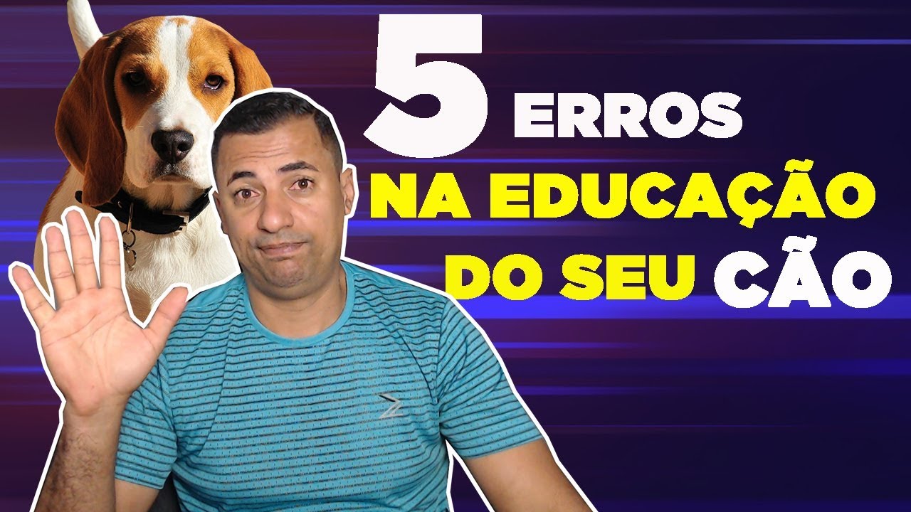 5 ERR0S QUE VOCÊ NÃO DEVE COMETER NA EDUCAÇÃO DO SEU CÃO