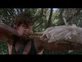 Hot Shots 2 Chicken Arrow