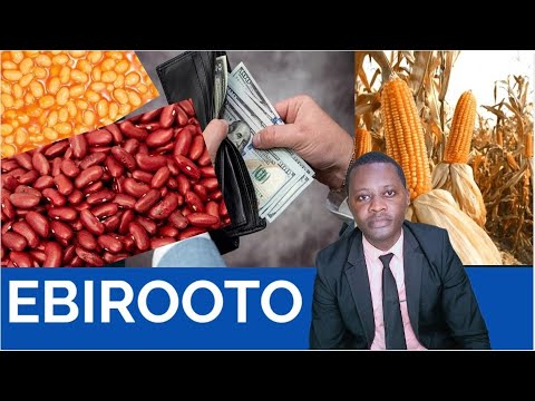Yiga okuvunula Ebilooto (DREAMS) Namakulu Gabyo Amatuufu (Questions and Answers)