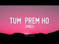 Tum Prem Ho Tum Preet Ho Lyrics Radha Krishn Mohit Lalwani Tseries Radhakrishna