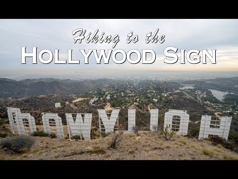 Hiking to the Hollywood Sign and the Wisdom Tree in Los Angeles
