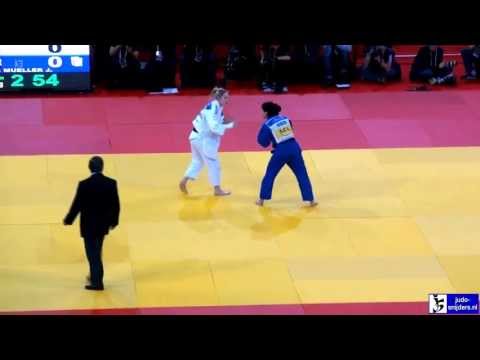 Judo 2013 Grand Slam Paris: Pavia (FRA) - Mueller (GER) [-57kg]