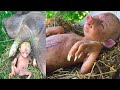 This Farmer Discovered Something Weird Under His Corn Field - The Squeezed Lemon This Farmer Discovered Something Weird Under His Corn Field