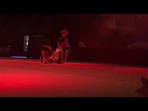 Palo Aisha imitazione di Annabelle