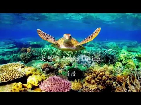 The Great Barrier Reef. Snorkeling 大堡礁5日潜水之浮潜篇