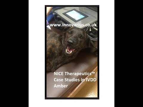 Amber IVDD Innovarius NICE Therapeutics™