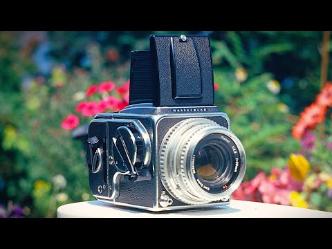 The BEST Film Camera Ever Made? (Hasselblad 500 C/M)