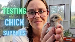 REVIEW: Roosty's Farm Equipment | Chick Waterer | Chick Feeder | Nesting Box Pads