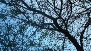 Phil Collins  Tearing and Breaking