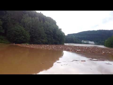 Angeschwemmtes am 1.6.2018  Bojen halten einiges auf