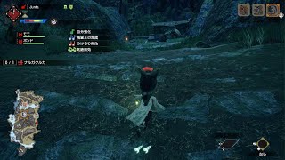 MHR ★7 ナルガクルガ　狩猟笛