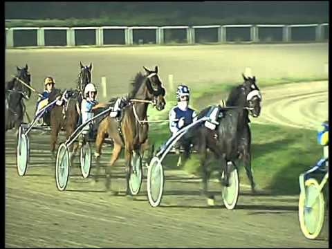 Trotto 01/12/2015 - 6° corsa