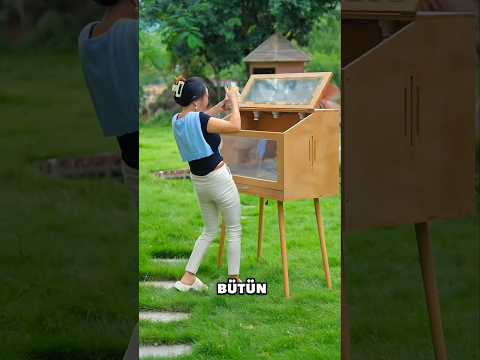 Bütün Kuşlar Uçup Gitti!  Sonra Ormanda Olağanüstü Bir Arayış Başladı! 😱🐦!! #shorts