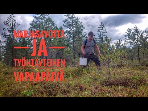 Hillapaikkojen etsintää ja kotihommia VLOG
